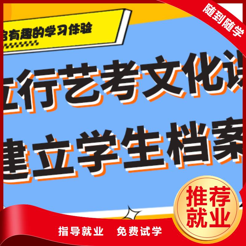 艺考生文化课冲刺高考理论+实操