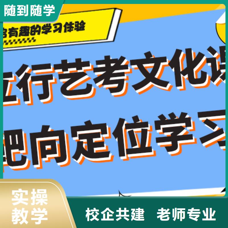 艺考生文化课冲刺高考理论+实操