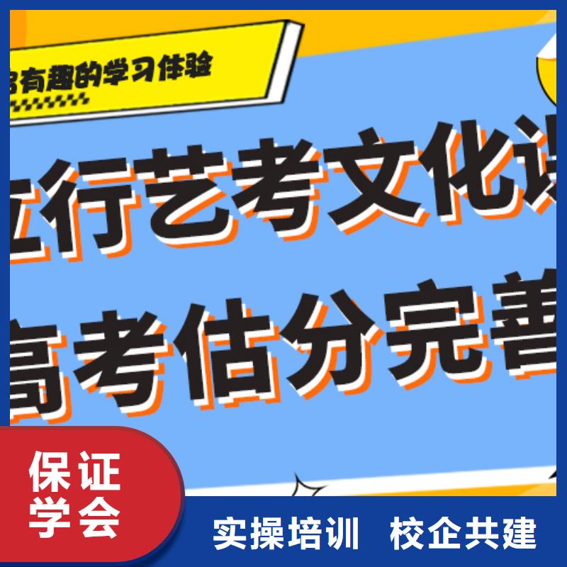 艺考生文化课冲刺-【高考小班教学】随到随学