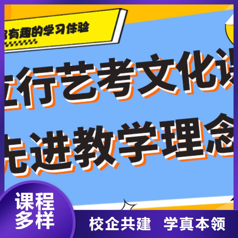 艺考生文化课冲刺艺考文化课冲刺理论+实操