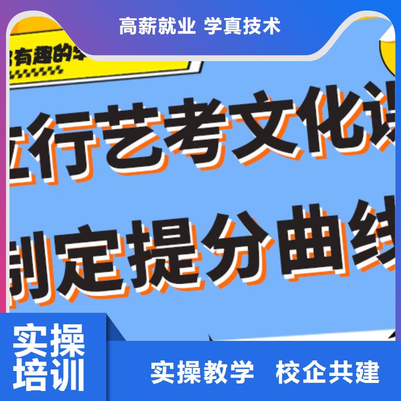 艺考生文化课冲刺高考辅导学真技术