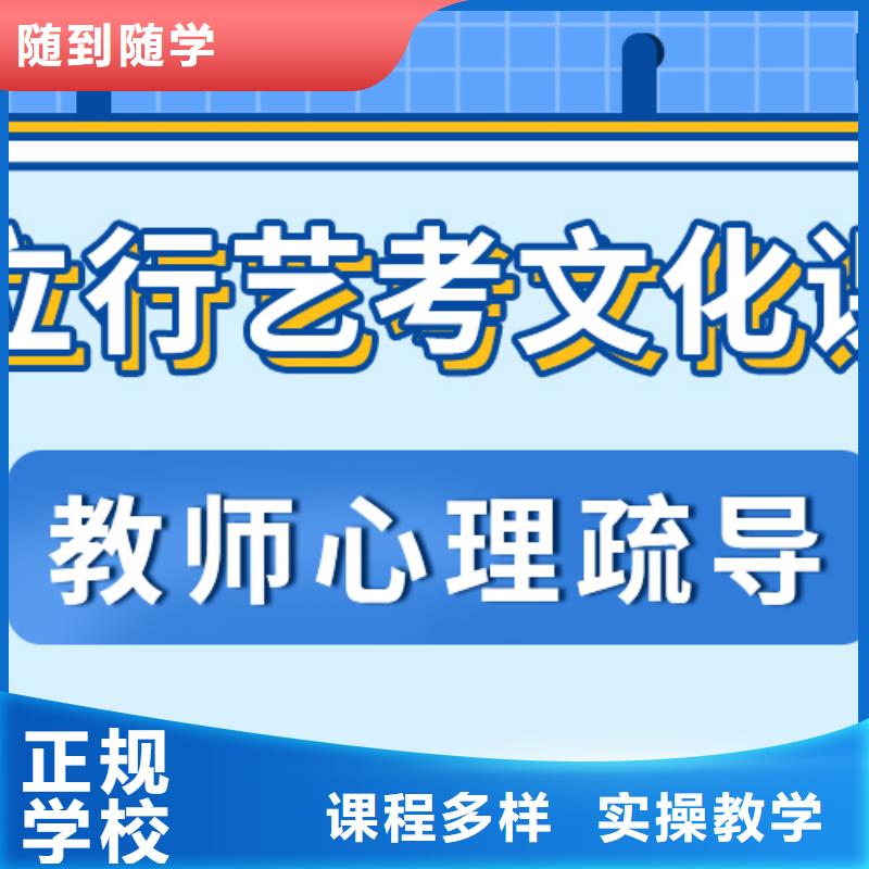 艺考生文化课冲刺【高中一对一辅导】保证学会