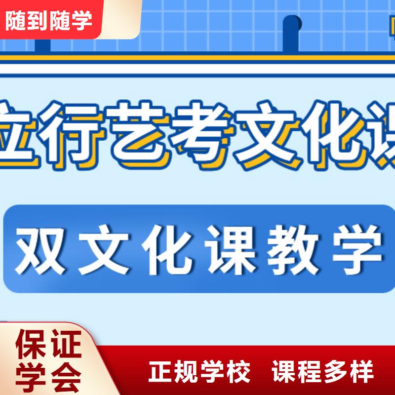 艺考生文化课冲刺艺考生一对一补习课程多样