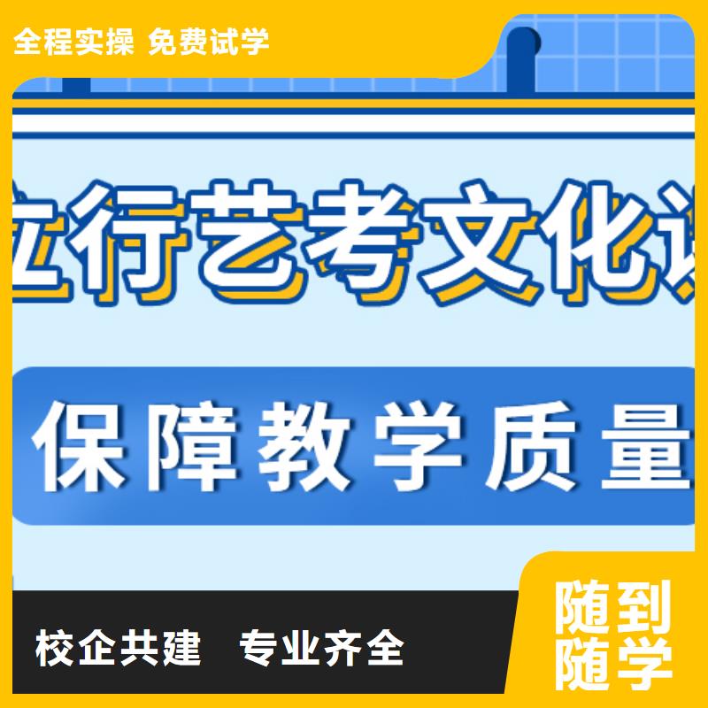 艺考生文化课冲刺-【高考小班教学】随到随学