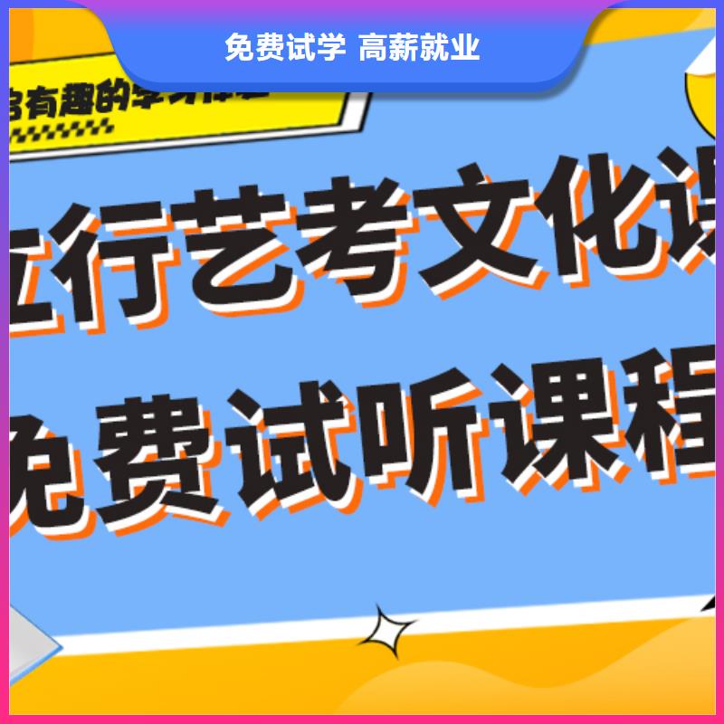 艺考文化课集训班-【高中一对一辅导】理论+实操