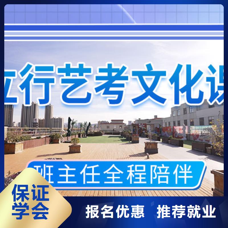 艺考文化课集训班高考冲刺全年制老师专业