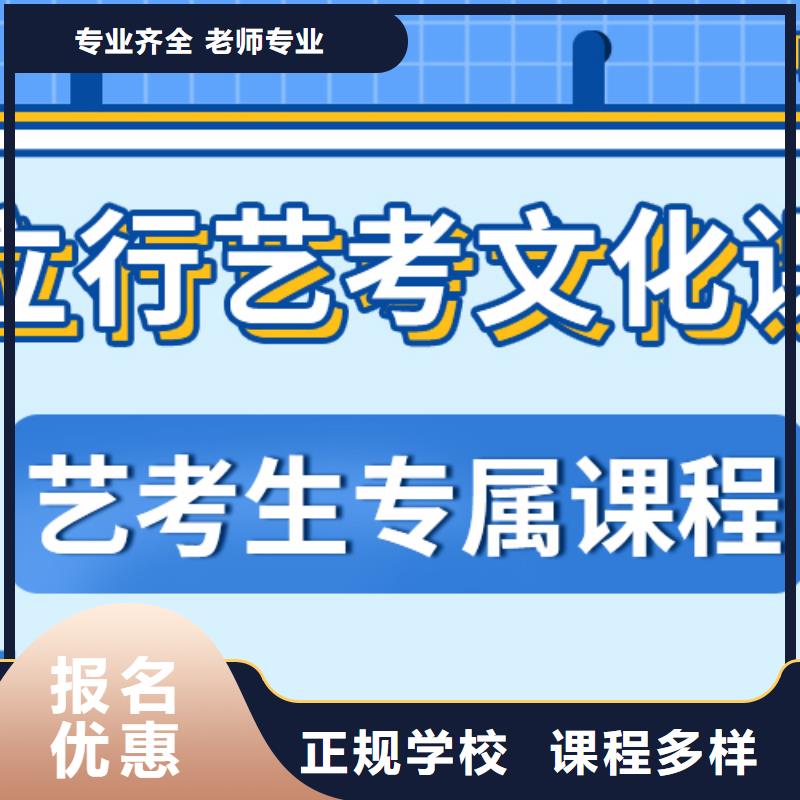 艺考文化课集训班-【高中一对一辅导】理论+实操