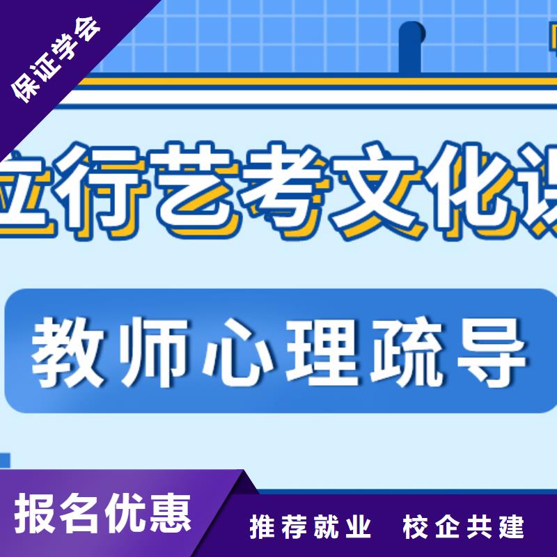 有推荐的艺考生文化课好不好