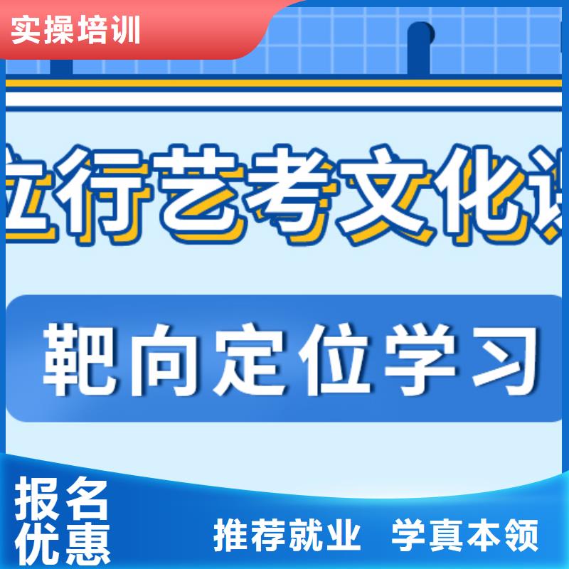 艺考文化课集训班-【高中一对一辅导】理论+实操