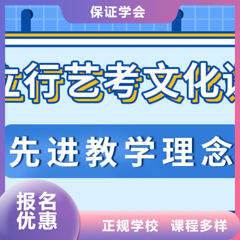 艺考文化课集训班-【高中一对一辅导】理论+实操