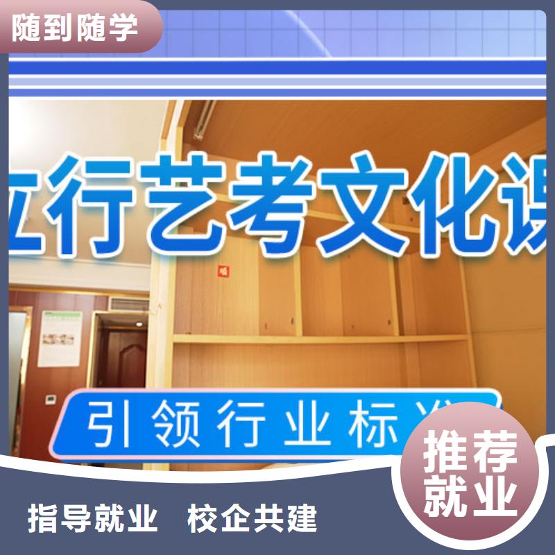 艺术生文化课培训补习好不好