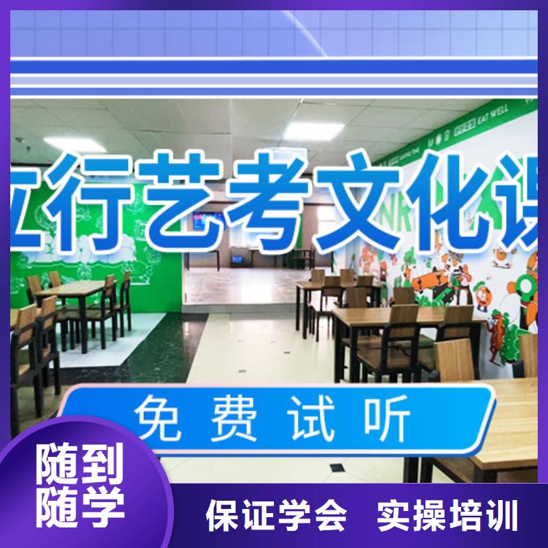 艺术生文化课培训机构有哪些