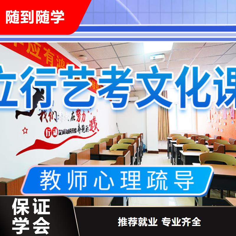 【艺考文化课集训_艺考文化课培训课程多样】