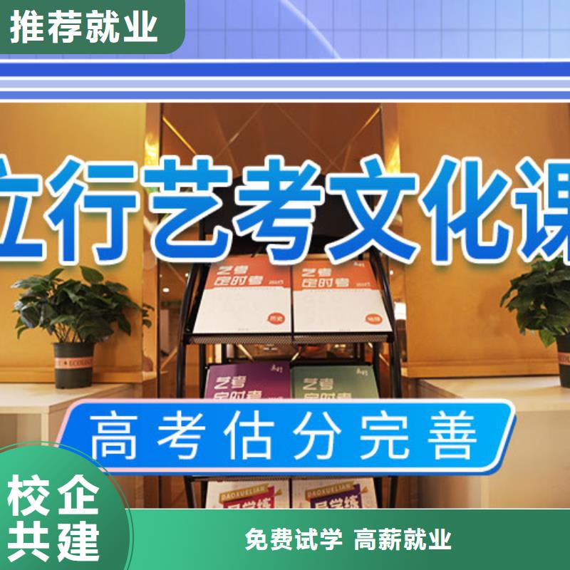 艺考文化课冲刺_艺考正规培训