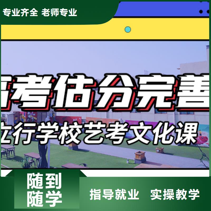 艺考文化课培训高三复读辅导学真技术