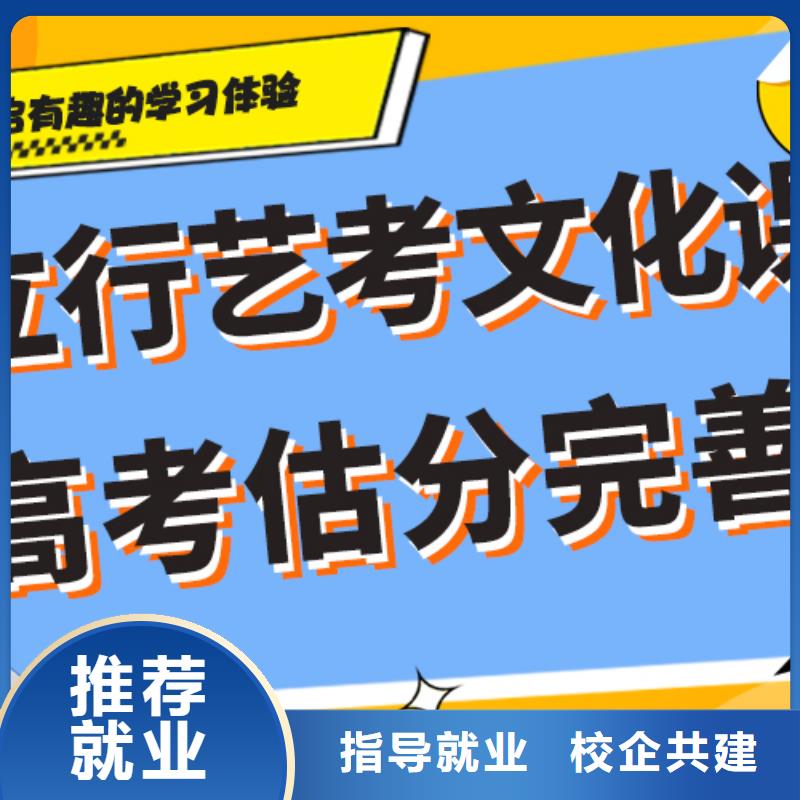 艺术生文化课补习机构哪家好定制专属课程
