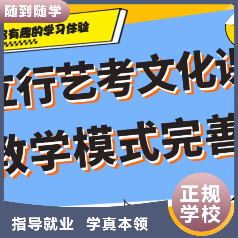 艺术生文化课补习学校价格艺考生文化课专用教材