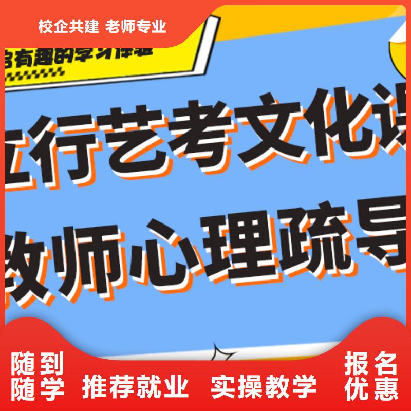 艺考文化课辅导班,高三集训老师专业