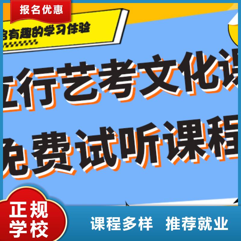 艺术生文化课培训补习排行艺考生文化课专用教材