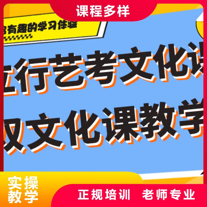 艺术生文化课培训学校价格精准的复习计划