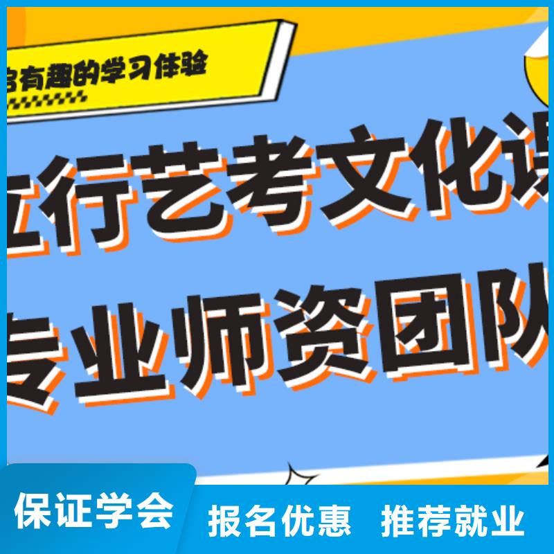 艺术生文化课集训冲刺哪个好针对性教学