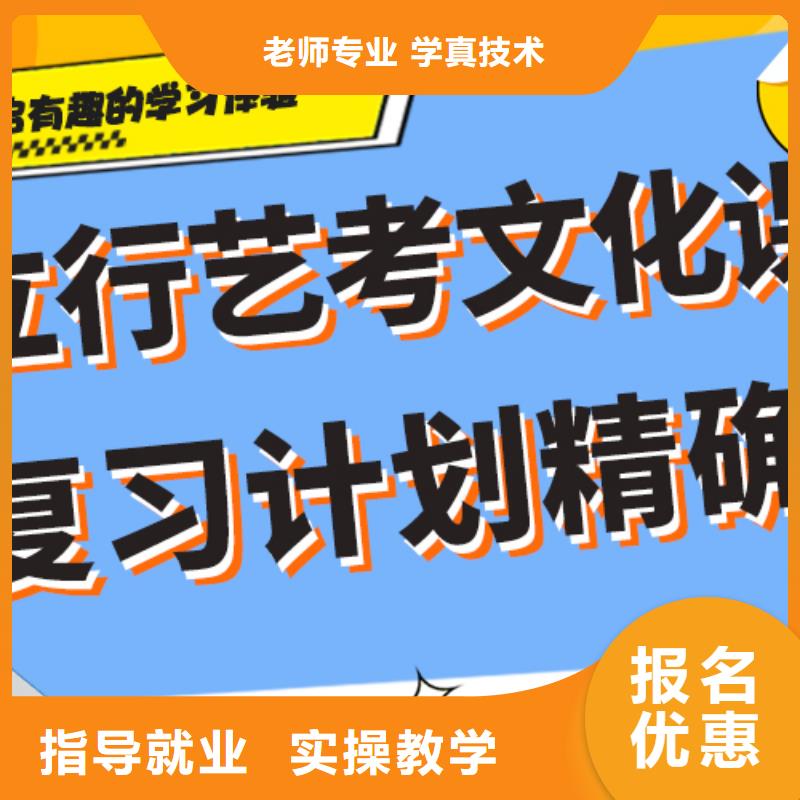 哪个好艺术生文化课培训补习定制专属课程