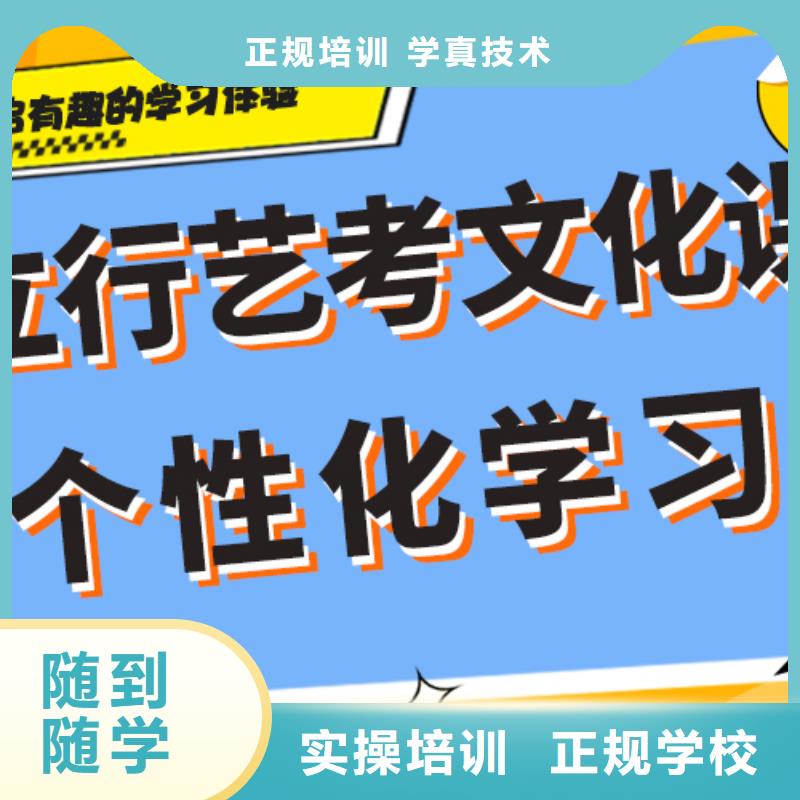 哪个好艺术生文化课培训补习定制专属课程