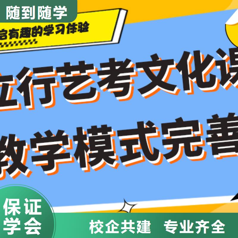 收费艺考生文化课集训冲刺个性化辅导教学