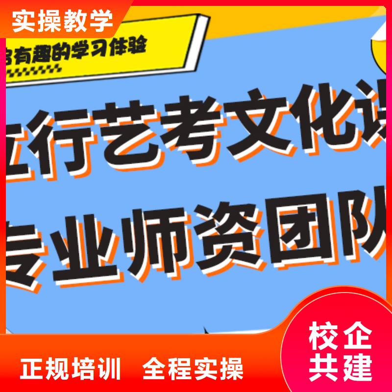 艺术生文化课培训机构艺考文化课百日冲刺班手把手教学