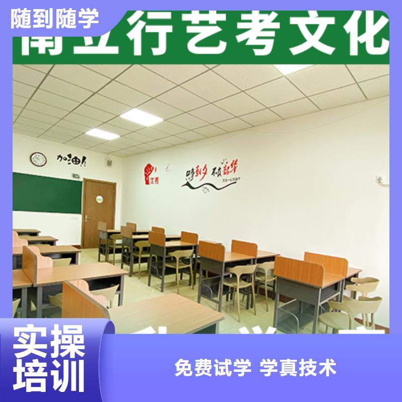 学费艺考生文化课辅导集训针对性教学