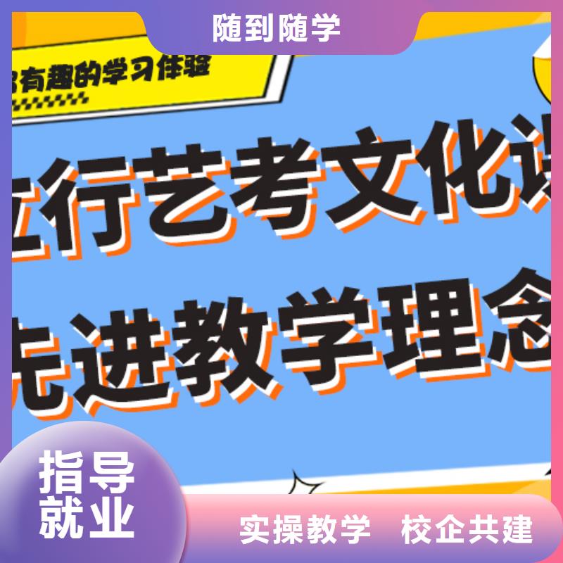 艺考生文化课集训冲刺有哪些艺考生文化课专用教材