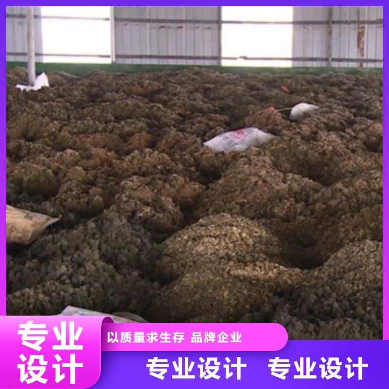 含铜泥回收太阳能光伏组件现款现结