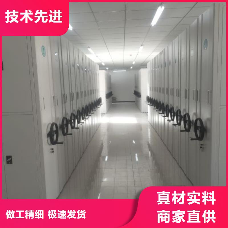 尽善尽美【桦平】网片式油画密集架