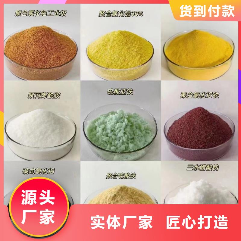 板框式PAC来厂考察
