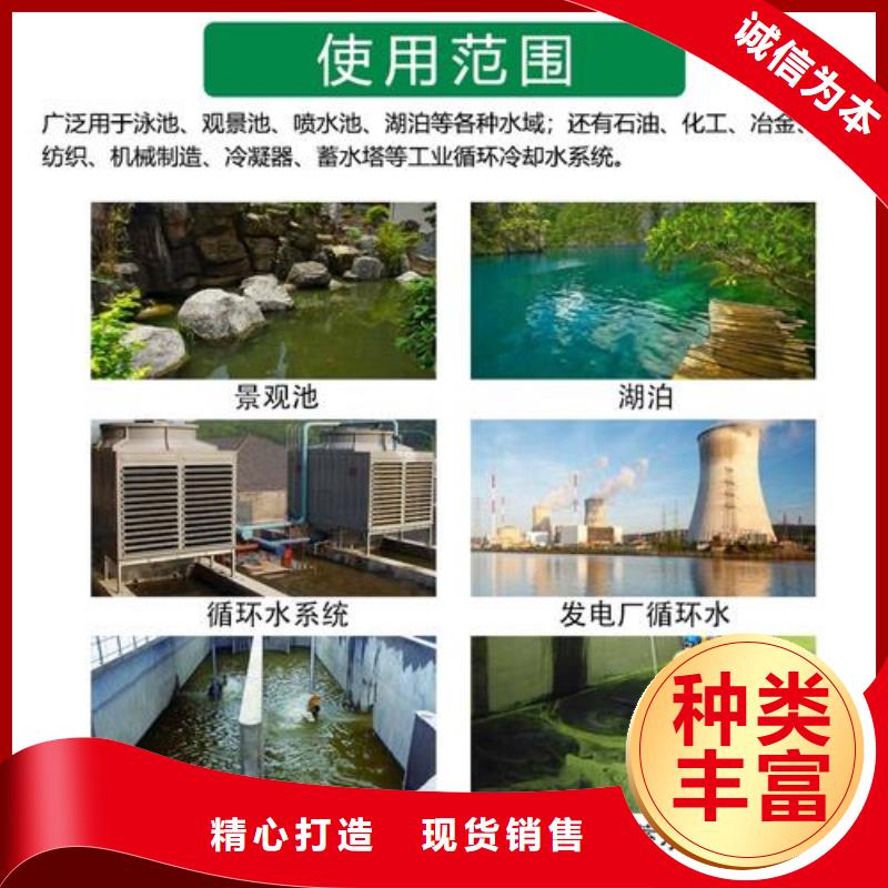 杀菌灭藻剂专业生产厂家