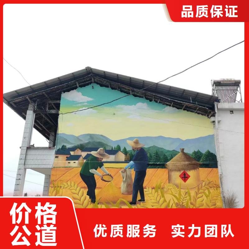 乡村振兴墙绘彩绘手绘墙工作室