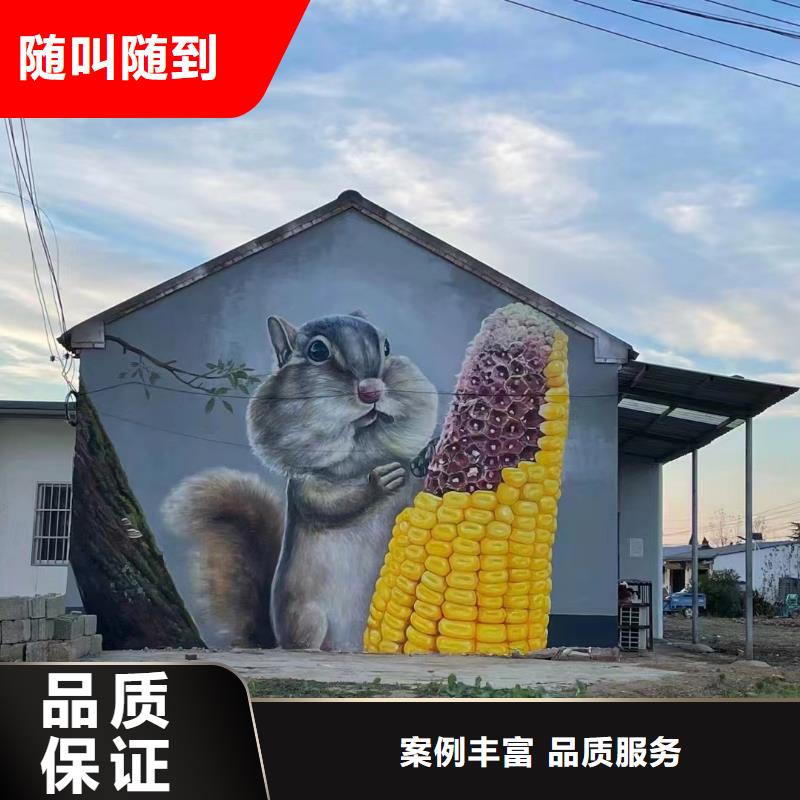 美丽乡村振兴彩绘墙绘团队