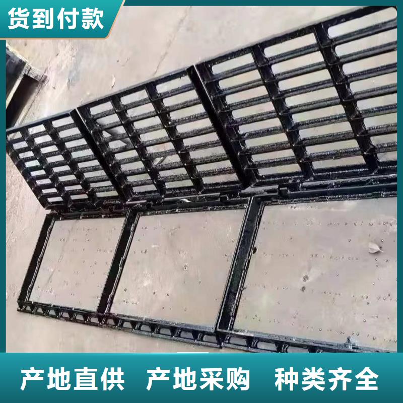 爬梯踏步球墨铸铁全国配送建通铸造厂家
