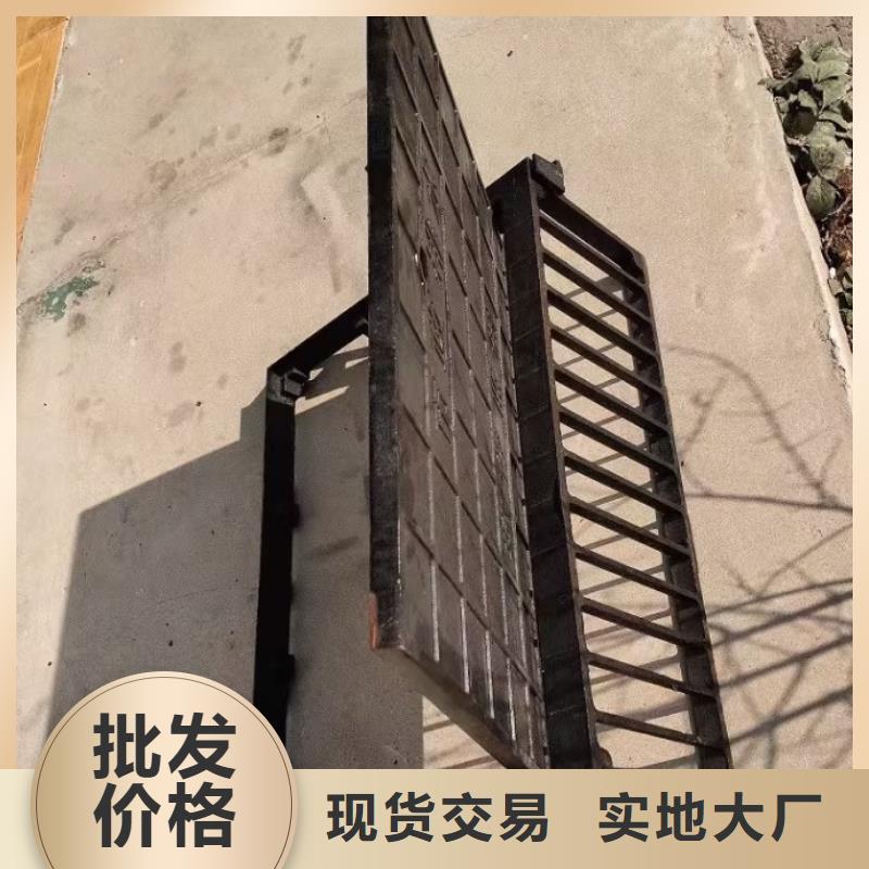 爬梯踏步球墨铸铁全国配送建通铸造厂家