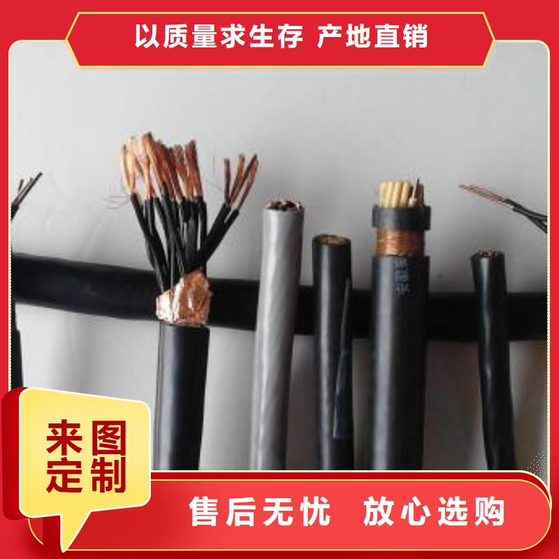 电线电缆PTYA23电缆安心购