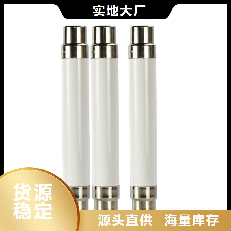 RN3-10/100双管限流熔断器