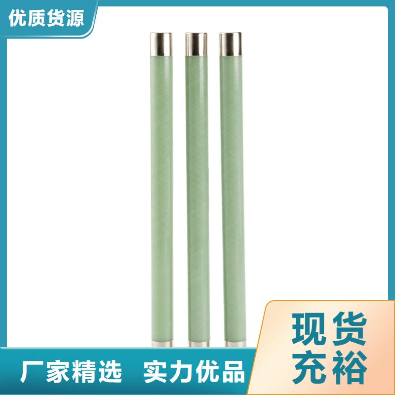 RN3-10/100双管限流熔断器