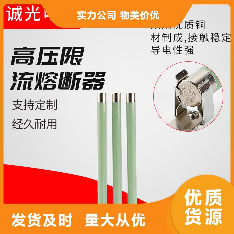 RN3-10/100双管限流熔断器