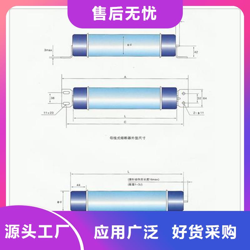 WFNHO-6/315A熔断器