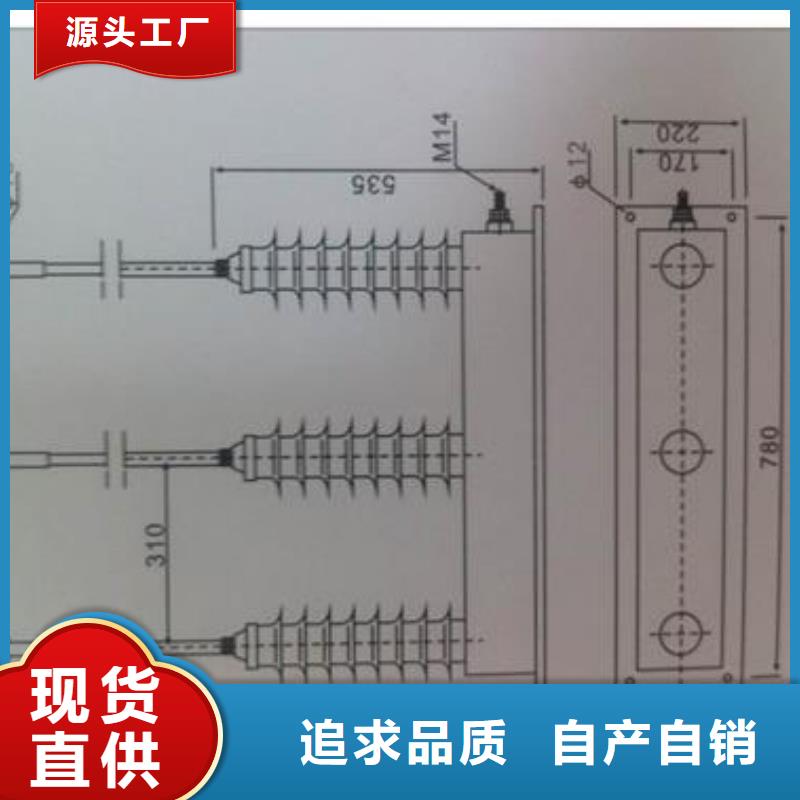 JSYL-5避雷器计数器