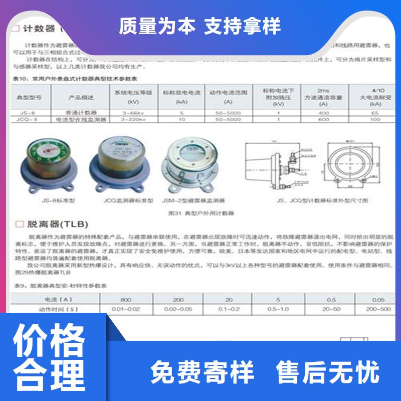 JSYL-5避雷器计数器
