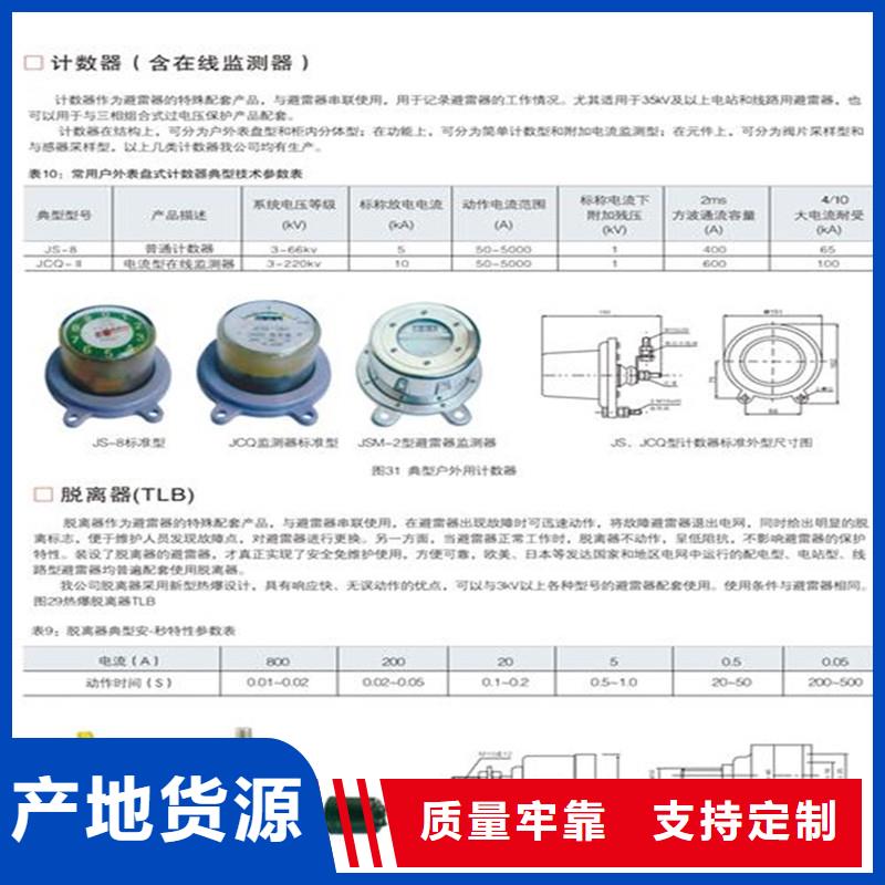 JSYL-5避雷器计数器