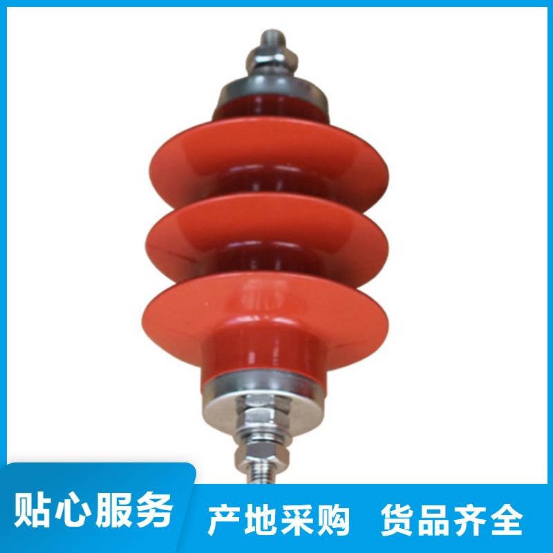 避雷器绝缘子实力厂家