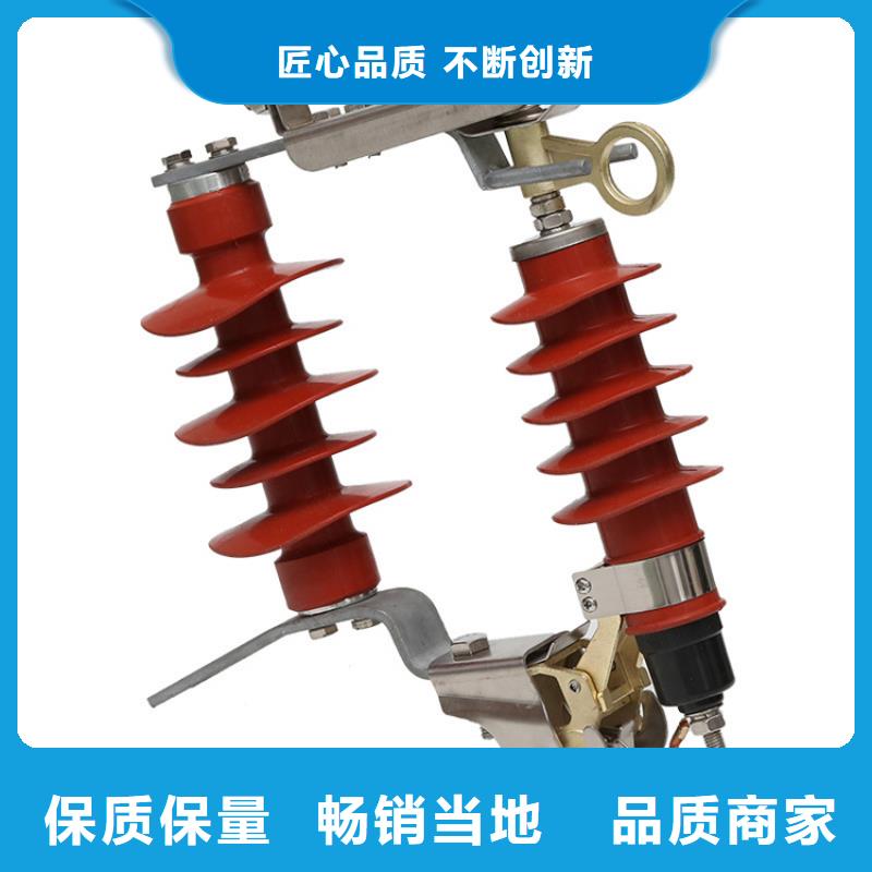 HY5WT-41/115间隙氧化锌避雷器