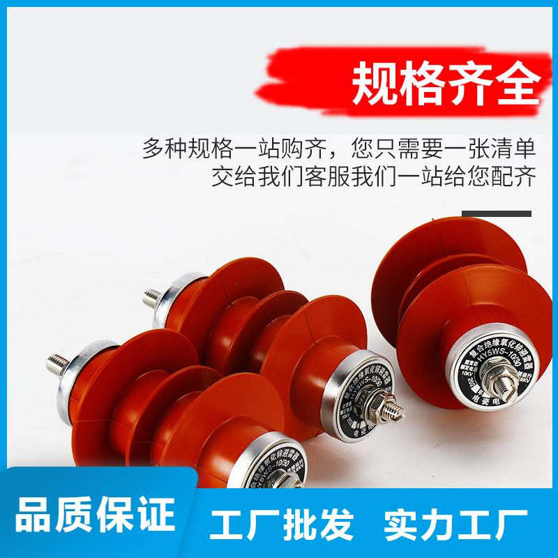 避雷器【跌落式熔断器】真实拍摄品质可靠